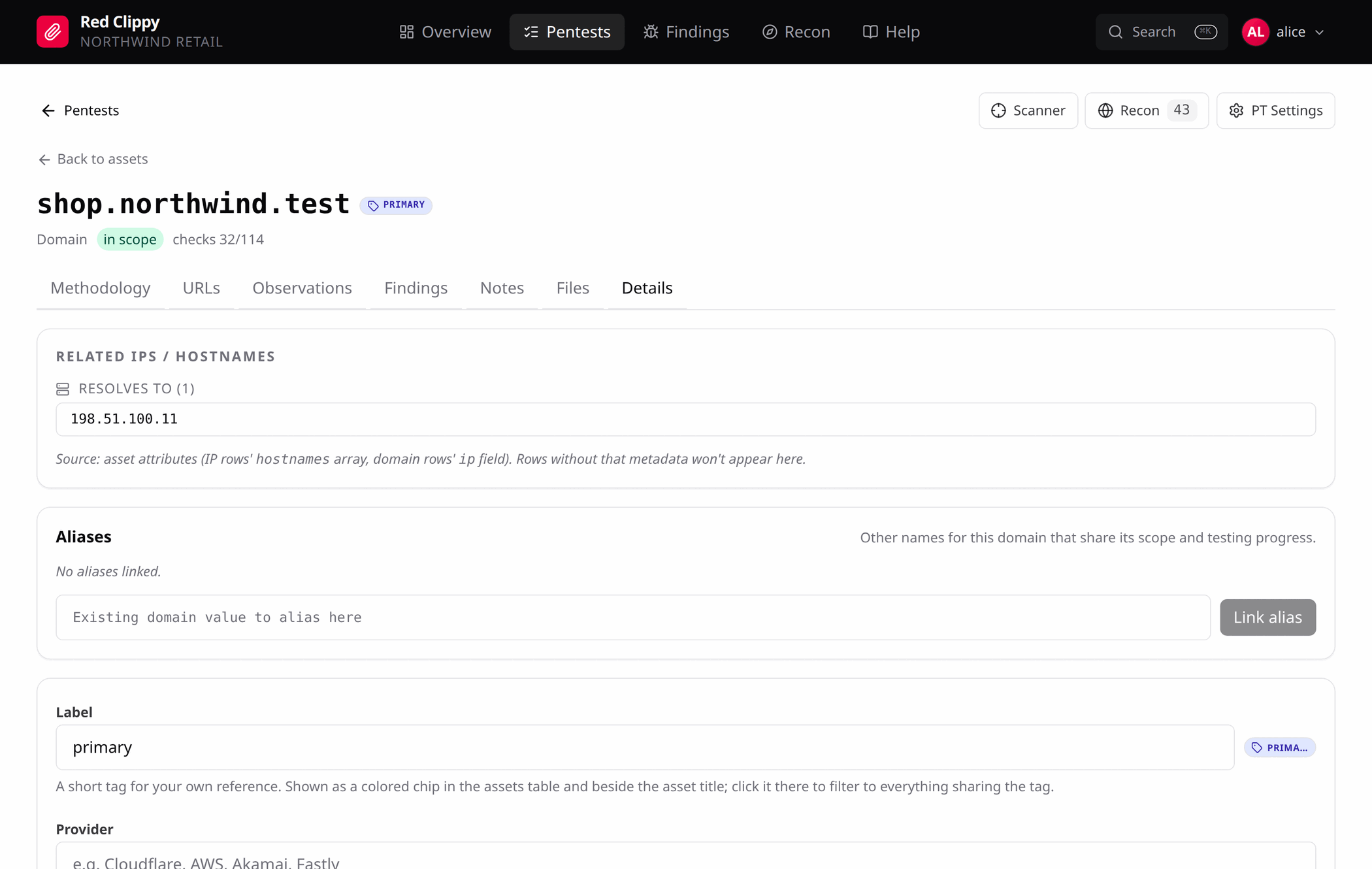 The asset Details tab, showing resolved IPs, aliases, label, provider and scope controls