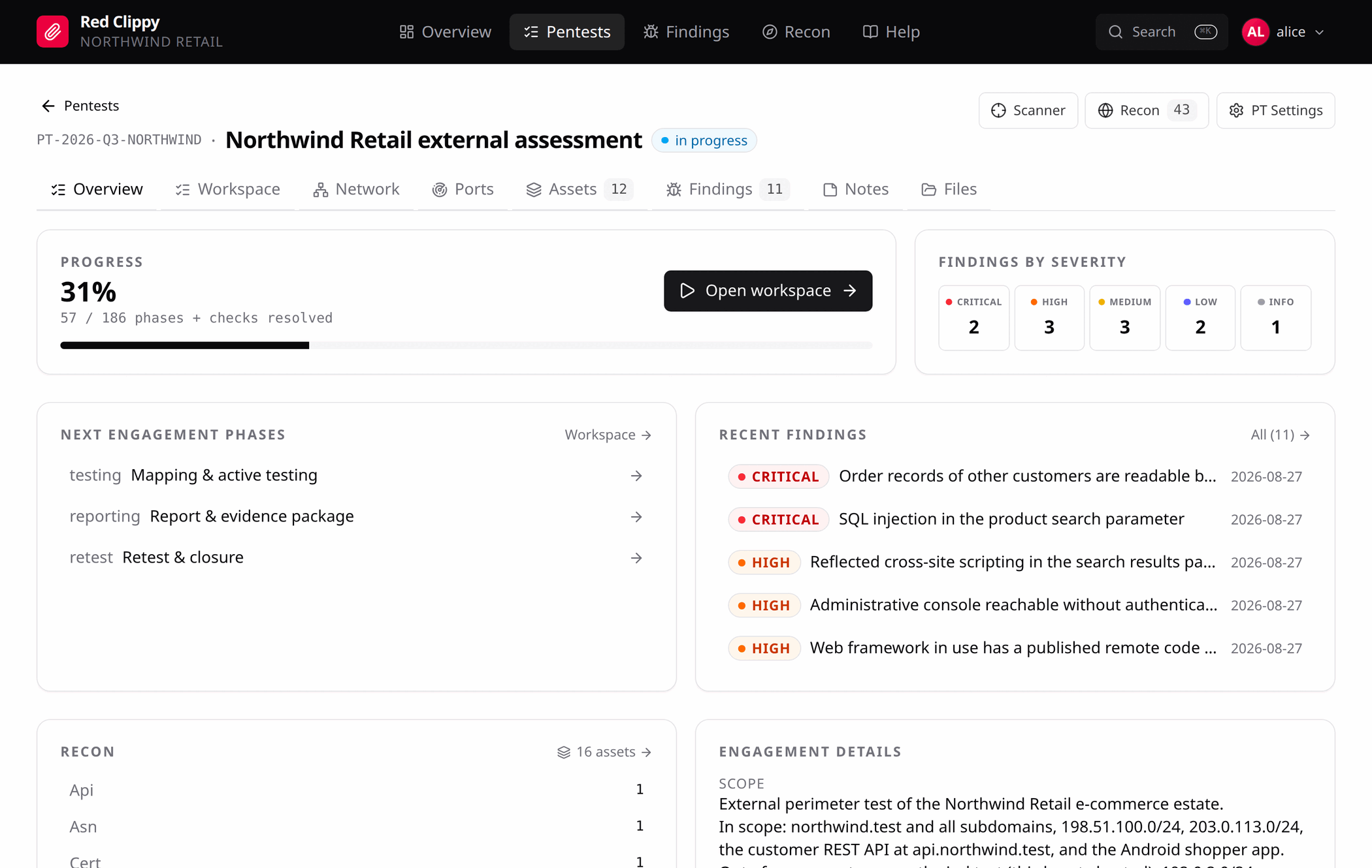 The tab strip inside an engagement, with Overview, Workspace, Network, Ports, Assets, Findings, Notes and Files