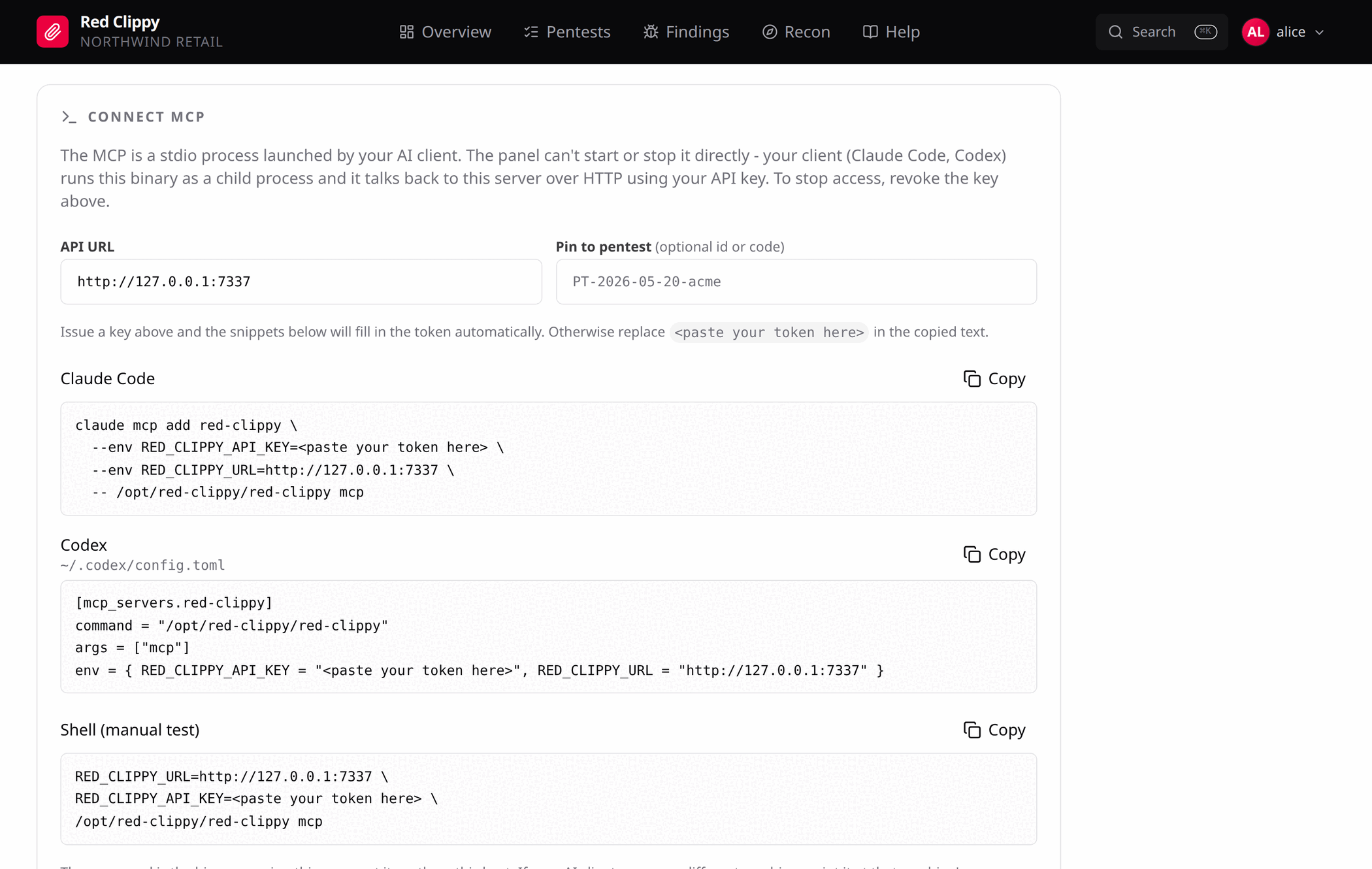 The Connect MCP section, with ready-to-paste snippets for Claude Code, Codex and a shell